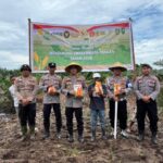 Dukung Ketahanan Pangan Nasional, Kapolsek Bukit Kapur dan Jajarannya Tanam Jagung Pipil di Lahan Seluas Satu Hektar