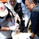 Pemkab Banyuwangi Periksa Kesehatan Hewan Kurban, Pastikan Layak saat Idul Adha IMG-20260520-WA0019