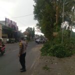 Pohon Tepi Irigasi Tumbang, Jalur Nasional Malang-Kepanjen Sempat Tersendat IMG-20260520-WA0089