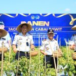 Dukung Ketahanan Pangan, Kakanwil Ditjenpas Jatim Hadiri Panen Jagung dan Cabai di Lahan SAE Paswangi Screenshot_20260707-103904