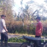 Kebakaran Lahan Tebu di Bantur Berhasil Dipadamkan, Polisi Selidiki Penyebab Api Screenshot_20260721-193410
