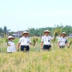 Lahan SAE Paswangi Kembali Memasuki Masa Panen Padi, Proyeksi Hasil Capai 2,4 Ton Gabah Screenshot_20260728-132923