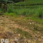 Sengketa Tanah Ahli Waris Kartorejo Ngaidin Berujung Laporan, Kuasa Hukum Soroti Dasar Penguasaan Lahan Screenshot_20260815-042931