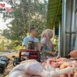 Harga Ayam Potong di Banyuwangi Tembus Rp38 Ribu, Permintaan MBG Disebut Jadi Penyebab Screenshot_20260819-200951