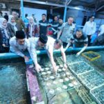 Ekspor ke 20 Negara, Koral Budidaya Banyuwangi Diminati Pasar Global Screenshot_20260828-214244