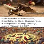Diduga Lokasi Sabung Ayam di Desa Pasembon Kecamatan Bangorejo Kebal Hukum IMG-20260926-WA0011