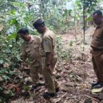 Payung Hukum Desa: Penyusunan Perdes tentang pelestarian dan pemeliharaan situs Screenshot_20260910-152619